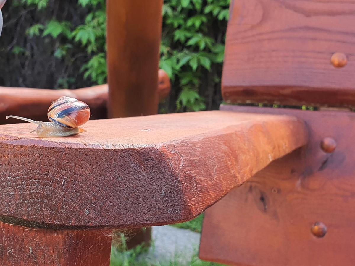 Pokoje U Gosi Węgorzewo Exteriör bild